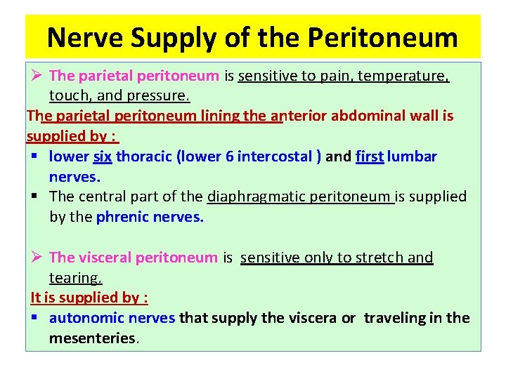 Nerve Supply of the Peritoneum Ø The parietal peritoneum is sensitive to pain, temperature,