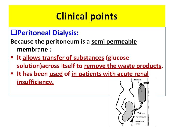 Clinical points q. Peritoneal Dialysis: Because the peritoneum is a semi permeable membrane :
