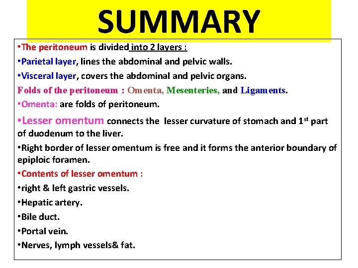 SUMMARY • The peritoneum is divided into 2 layers : • Parietal layer, lines