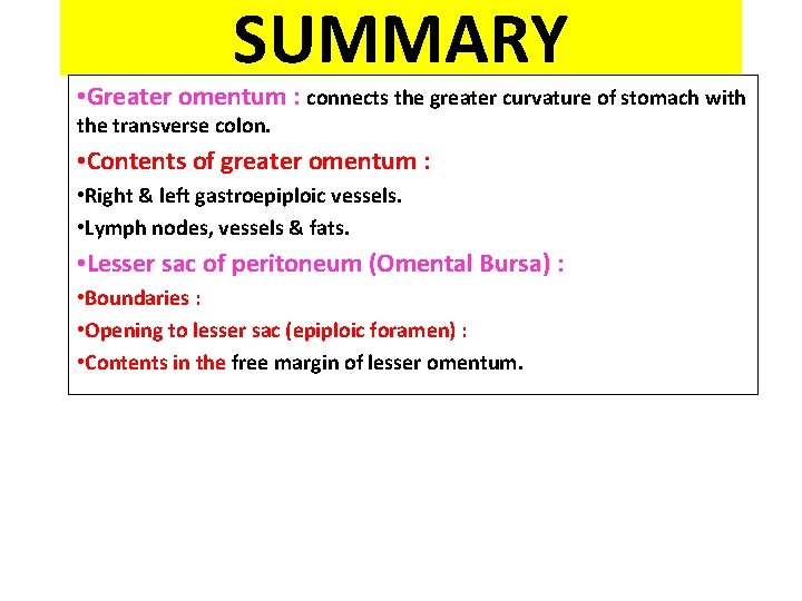 SUMMARY • Greater omentum : connects the greater curvature of stomach with the transverse