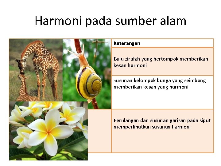 Harmoni pada sumber alam Contoh Keterangan Bulu zirafah yang bertompok memberikan kesan harmoni Susunan