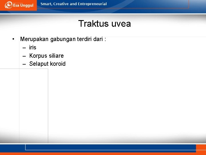 Traktus uvea • Merupakan gabungan terdiri dari : – iris – Korpus siliare –