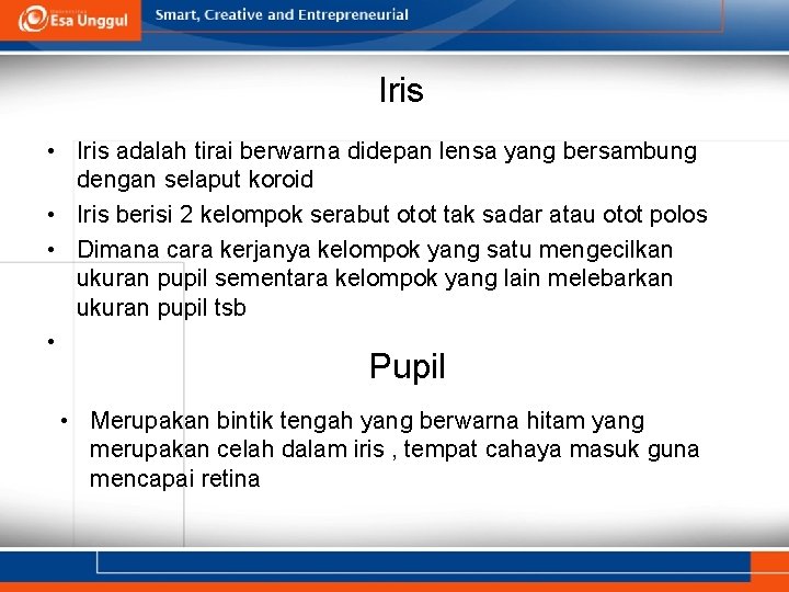 Iris • Iris adalah tirai berwarna didepan lensa yang bersambung dengan selaput koroid •