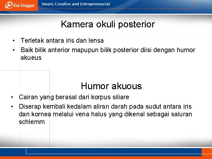 Kamera okuli posterior • Terletak antara iris dan lensa • Baik bilik anterior mapupun