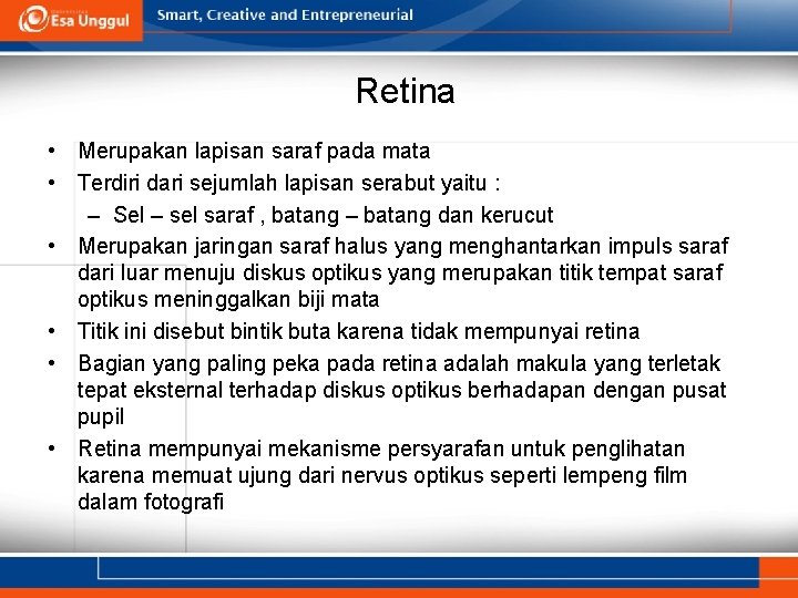 Retina • Merupakan lapisan saraf pada mata • Terdiri dari sejumlah lapisan serabut yaitu