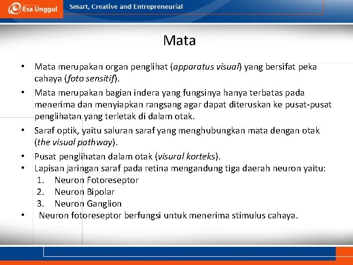 Mata • Mata merupakan organ penglihat (apparatus visual) yang bersifat peka cahaya (foto sensitif).