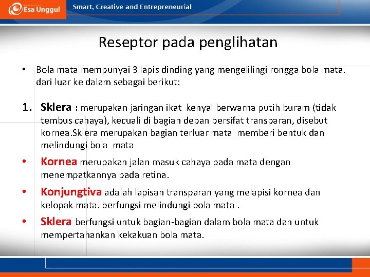 Reseptor pada penglihatan • Bola mata mempunyai 3 lapis dinding yang mengelilingi rongga bola