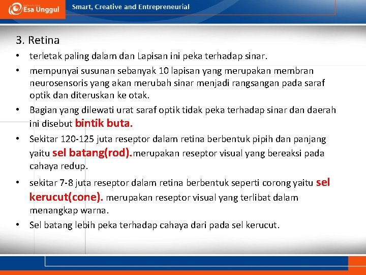 3. Retina • terletak paling dalam dan Lapisan ini peka terhadap sinar. • mempunyai