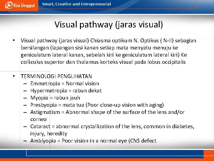 Visual pathway (jaras visual) • Visual pathway (jaras visual) Chiasma optikum N. Optikus (