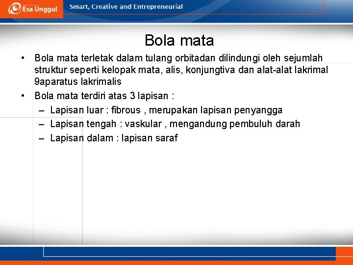 Bola mata • Bola mata terletak dalam tulang orbitadan dilindungi oleh sejumlah struktur seperti