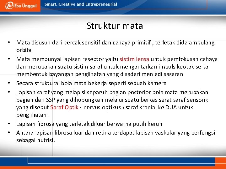 Struktur mata • Mata disusun dari bercak sensitif dan cahaya primitif , terletak didalam