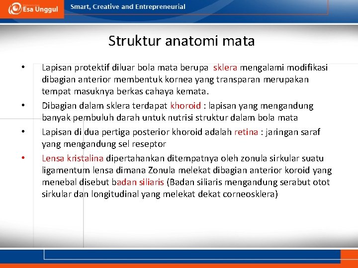 Struktur anatomi mata • • Lapisan protektif diluar bola mata berupa sklera mengalami modifikasi