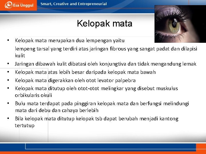 Kelopak mata • Kelopak mata merupakan dua lempengan yaitu lempeng tarsal yang terdiri atas