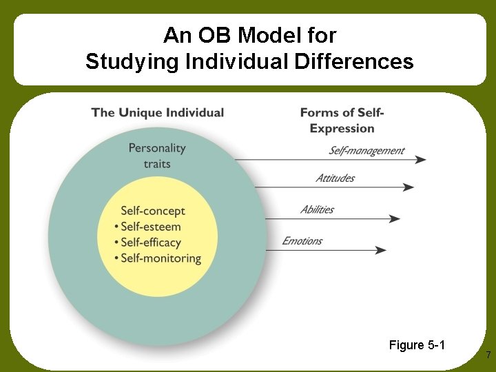 An OB Model for Studying Individual Differences Figure 5 -1 7 