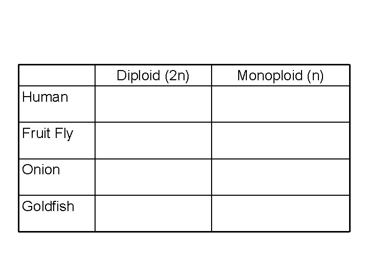 Diploid (2 n) Human Fruit Fly Onion Goldfish Monoploid (n) 