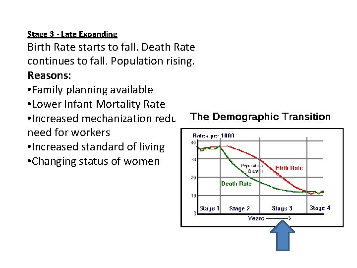 Stage 3 - Late Expanding Birth Rate starts to fall. Death Rate continues to