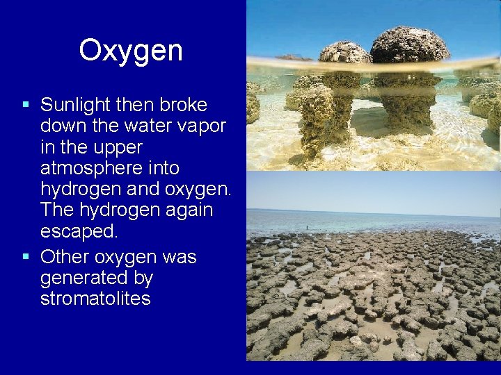Oxygen § Sunlight then broke down the water vapor in the upper atmosphere into