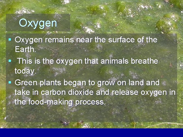 Oxygen § Oxygen remains near the surface of the Earth. § This is the