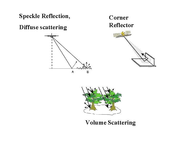 Speckle Reflection, Diffuse scattering Corner Reflector Volume Scattering 