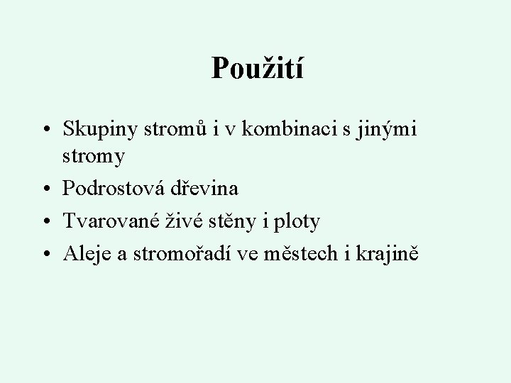 Použití • Skupiny stromů i v kombinaci s jinými stromy • Podrostová dřevina •