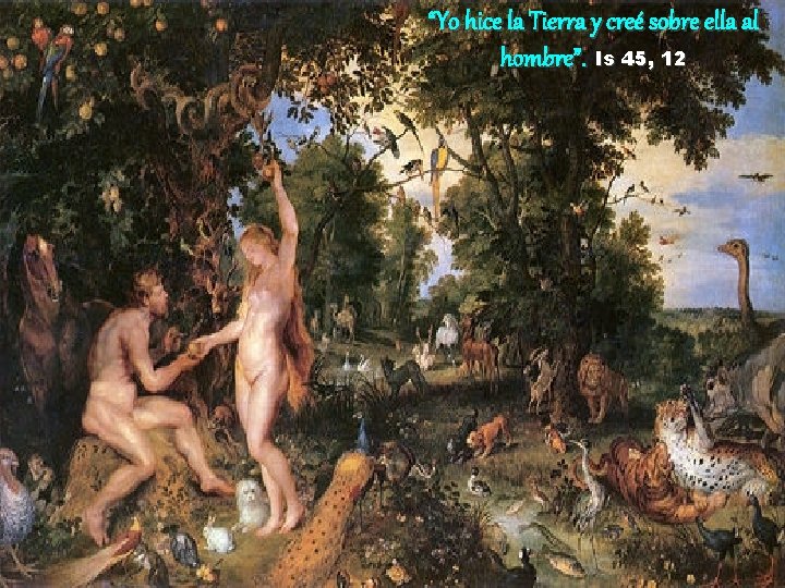 “Yo hice la Tierra y creé sobre ella al hombre”. Is 45, 12 