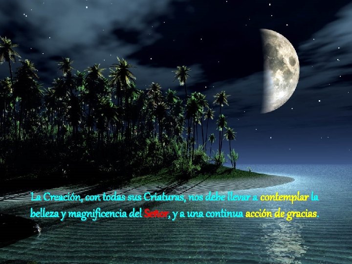 La Creación, con todas sus Criaturas, nos debe llevar a contemplar la belleza y