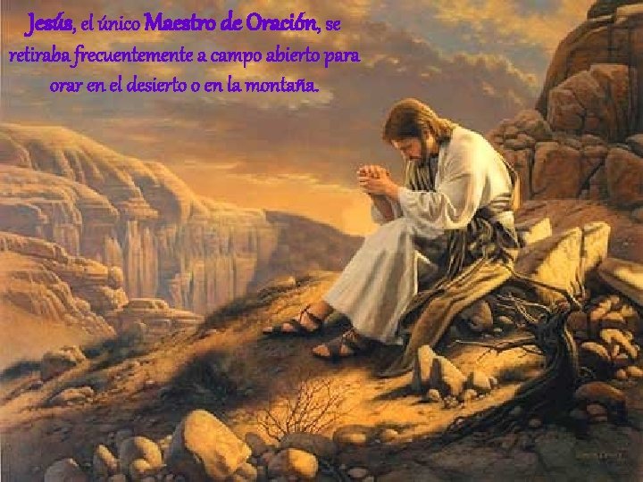 Jesús, el único Maestro de Oración, se retiraba frecuentemente a campo abierto para orar
