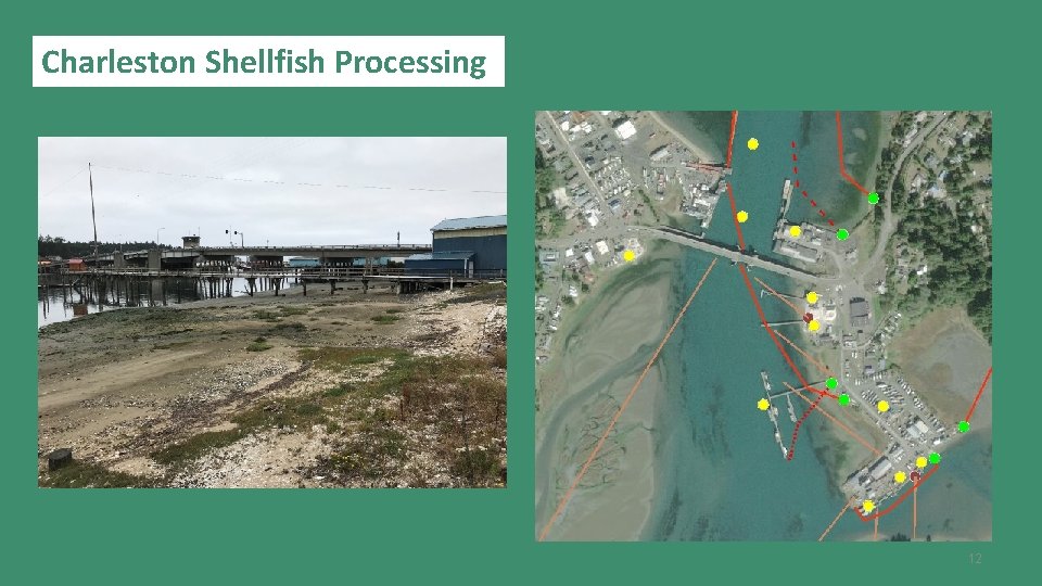 Charleston Shellfish Processing 12 