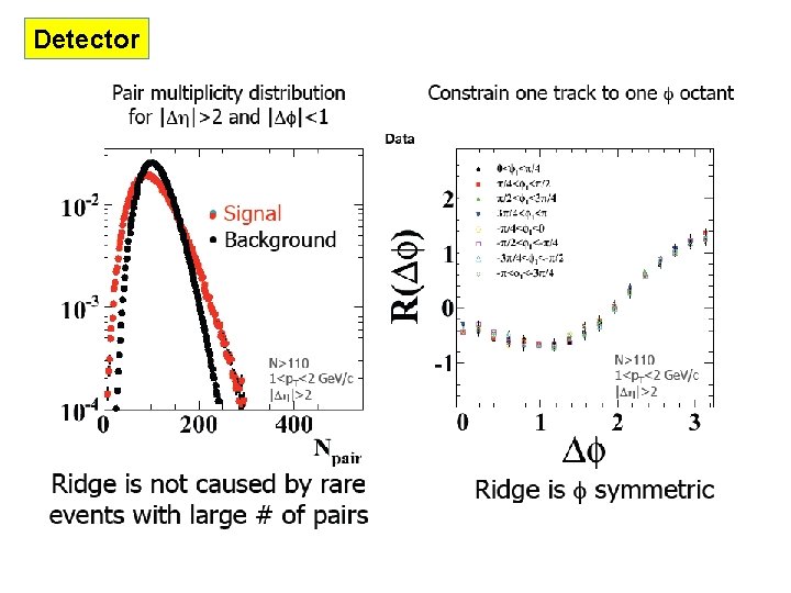 Detector 