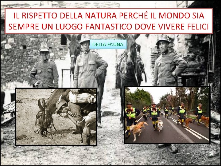 IL RISPETTO DELLA NATURA PERCHÉ IL MONDO SIA SEMPRE UN LUOGO FANTASTICO DOVE VIVERE
