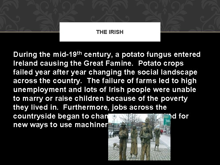 THE IRISH During the mid-19 th century, a potato fungus entered Ireland causing the