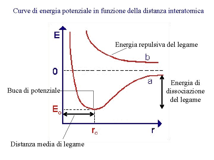 Curve di energia potenziale in funzione della distanza interatomica Energia repulsiva del legame Buca