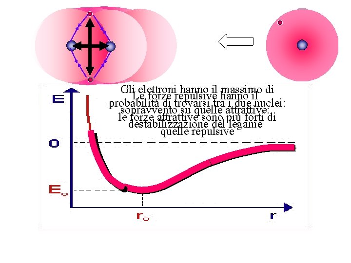 Gli elettroni hanno il massimo di Le forze repulsive hanno il probabilità di trovarsi