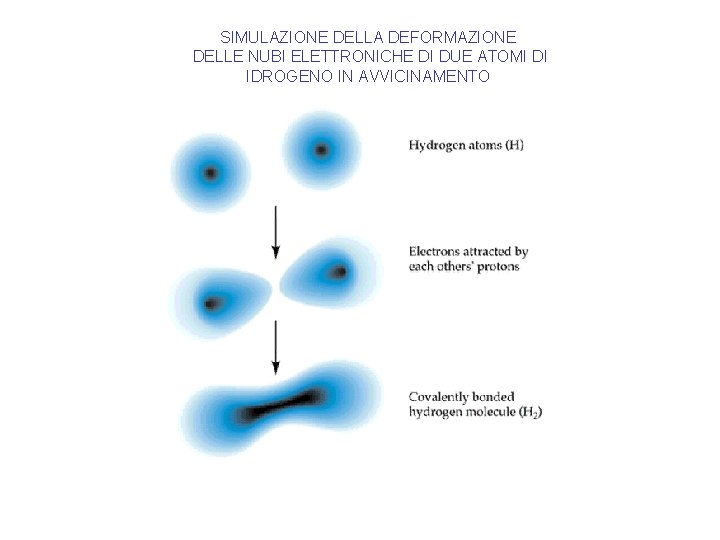 SIMULAZIONE DELLA DEFORMAZIONE DELLE NUBI ELETTRONICHE DI DUE ATOMI DI IDROGENO IN AVVICINAMENTO 