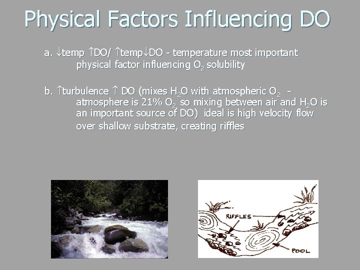 Physical Factors Influencing DO a. temp DO/ temp DO - temperature most important physical