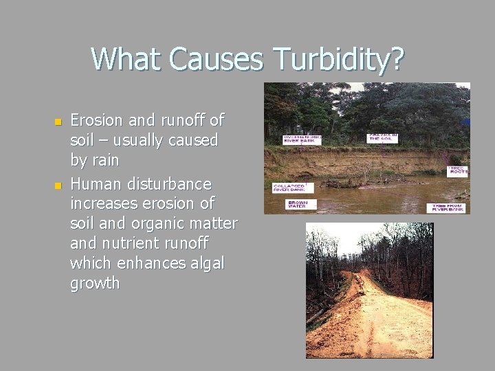 What Causes Turbidity? n n Erosion and runoff of soil – usually caused by