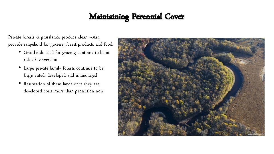 Maintaining Perennial Cover Private forests & grasslands produce clean water, provide rangeland for grazers,