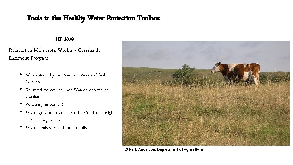 Tools in the Healthy Water Protection Toolbox HF 1079 Reinvest in Minnesota Working Grasslands