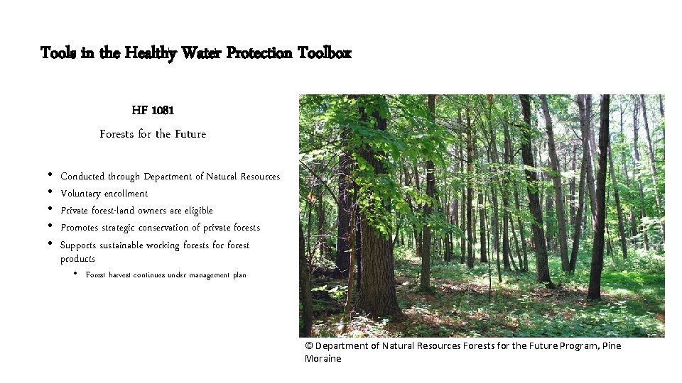 Tools in the Healthy Water Protection Toolbox HF 1081 Forests for the Future •