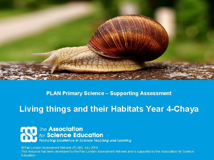 PLAN Primary Science – Supporting Assessment Living things and their Habitats Year 4 -Chaya