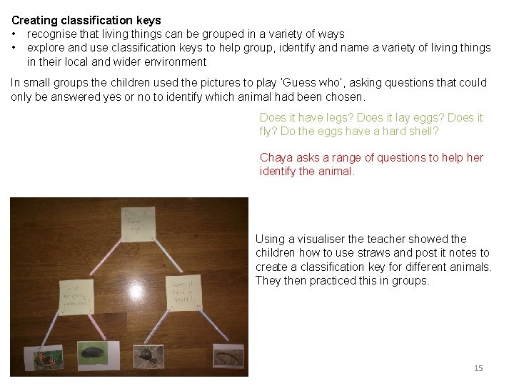 Creating classification keys • recognise that living things can be grouped in a variety
