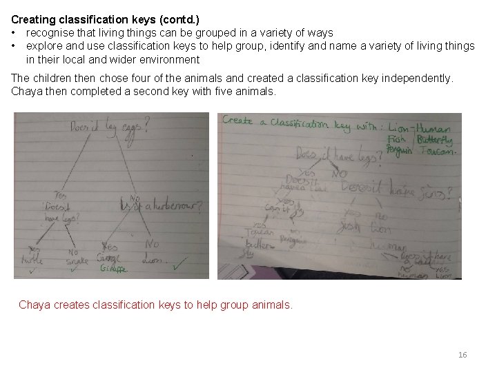 Creating classification keys (contd. ) • recognise that living things can be grouped in