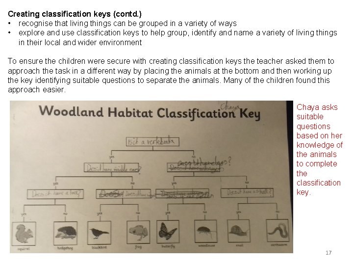 Creating classification keys (contd. ) • recognise that living things can be grouped in