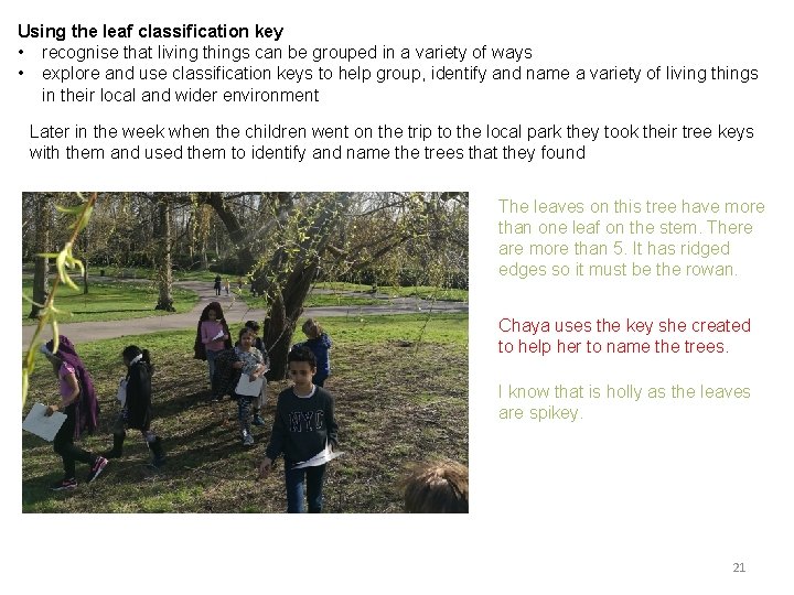 Using the leaf classification key • recognise that living things can be grouped in