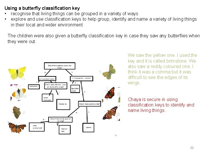 Using a butterfly classification key • recognise that living things can be grouped in