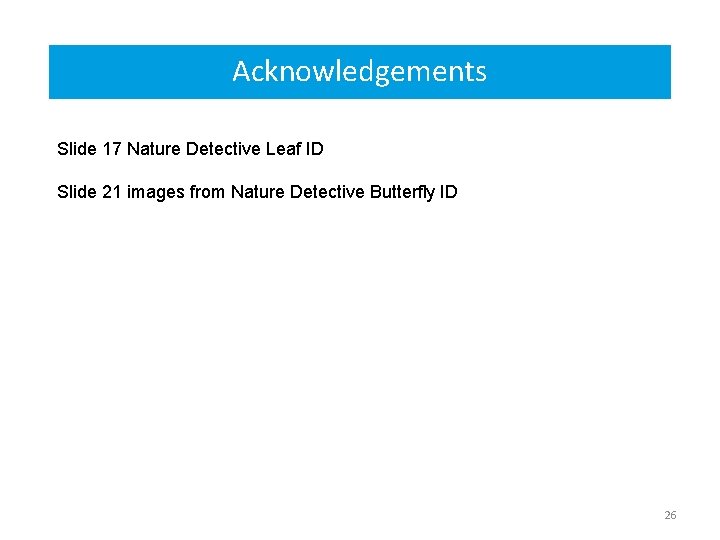 Acknowledgements Slide 17 Nature Detective Leaf ID Slide 21 images from Nature Detective Butterfly