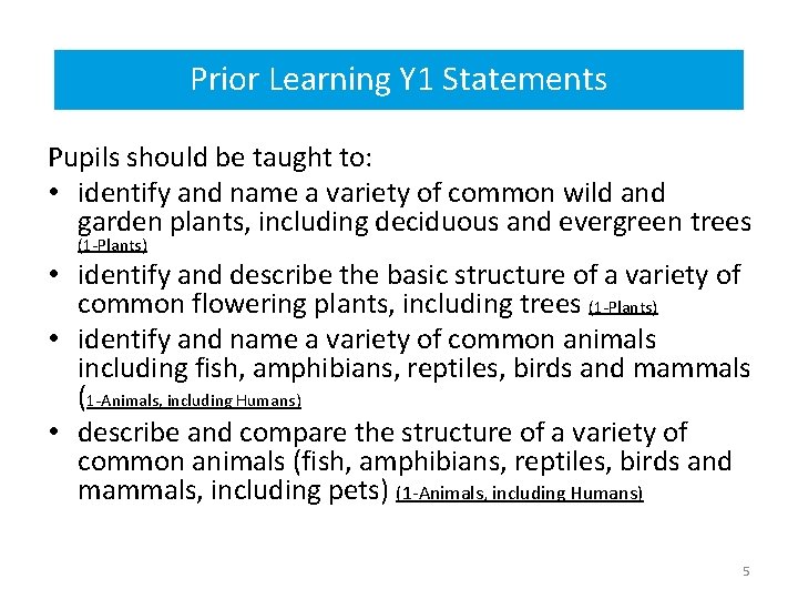 Prior Learning Y 1 Statements Prior Learning Year 1 statements Pupils should be taught