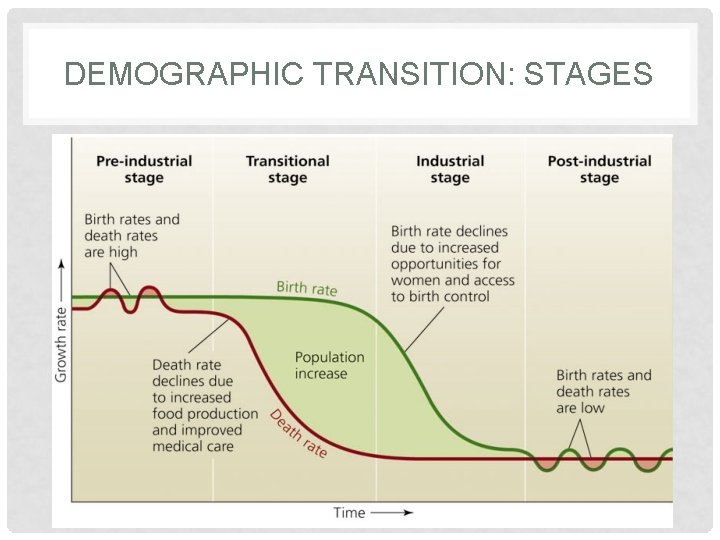 DEMOGRAPHIC TRANSITION: STAGES 