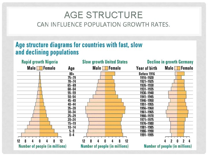 AGE STRUCTURE CAN INFLUENCE POPULATION GROWTH RATES. 
