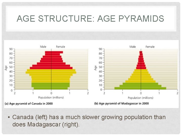 AGE STRUCTURE: AGE PYRAMIDS • Canada (left) has a much slower growing population than